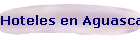 Htls Aguascalientes