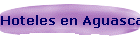 Hoteles en Aguascalientes
