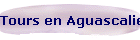 Tours en Aguascalientes