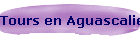 Tours en Aguascalientes