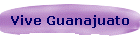 Vive Guanajuato